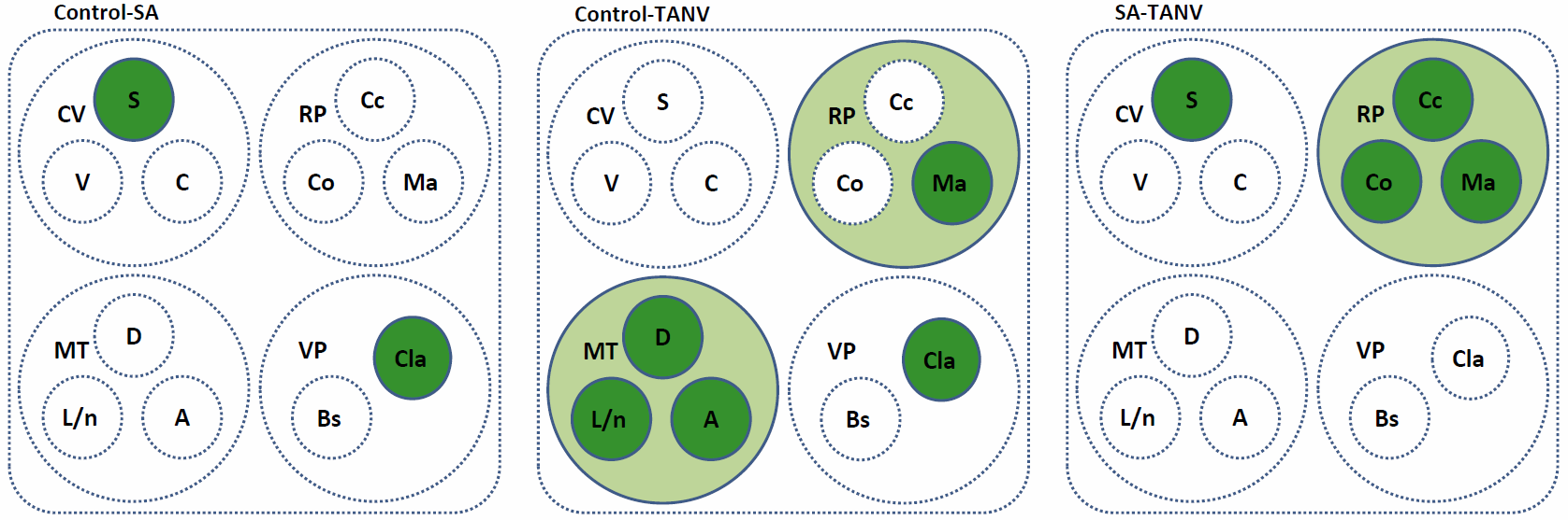 Estudi neuropsicològic comparatiu en infants